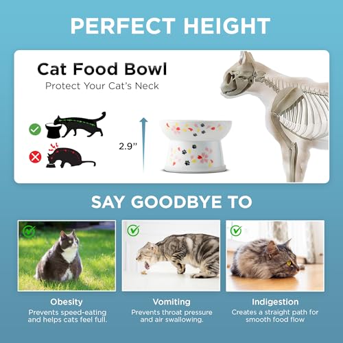 Necoichi Ceramic Elevated Cat Food Bowl (Sakura, Regular Flat) - color: Sakura, size: Regular