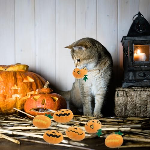 6pcs Halloween Pumpkin Catnip Toy，Hallowen Indoor Pumpkin Shaped Cat Toy Plush Interactive Chew Bite Toys for Cat Kitten Indoor Festive Holiday Cat Lover Gift - color: Pumpkin