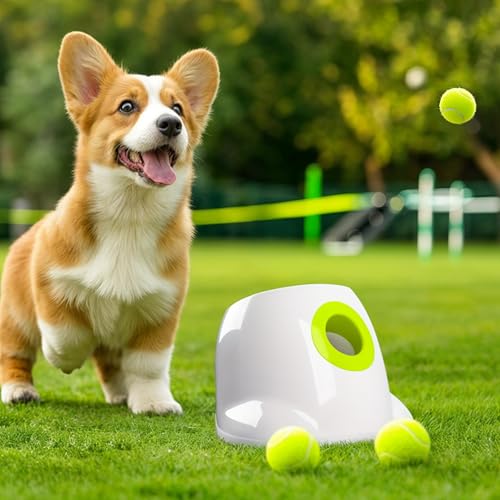 ALL FOR PAWS Automatic Dog Ball Launcher, Interactive Ball Thrower Dog Toys Includes 3pcs Tennis Balls for Small/Medium Dogs