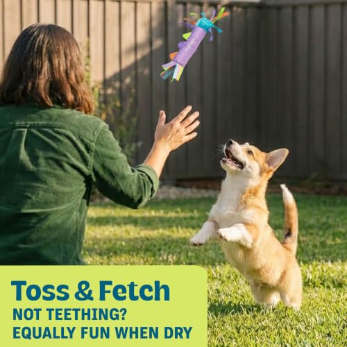 Cool Teething Stick Dental Dog Chew Toy, Soak & Freeze, 8.5" - color: Teething Stick