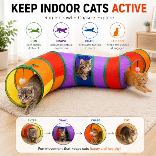 Rainbow Cat Tunnel