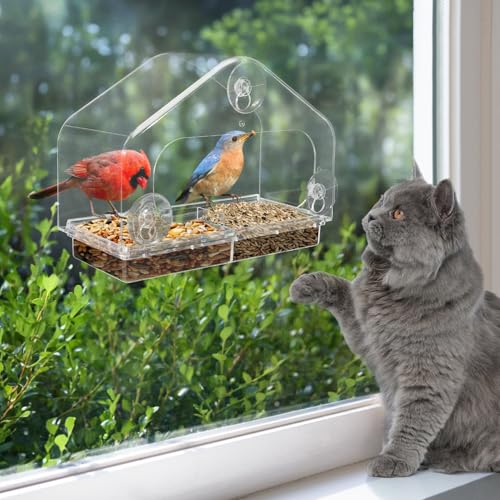 MEWTOGO Outdoor Window Bird Feeder for Cats Viewing, Large - size: Large