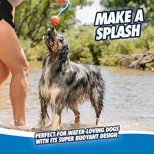 Chuckit! Ultra Tug Dog Toy - Ultra Ball on a Durable Nylon Cord Handle - Fetch and Tug-of-War Toy for Dogs - for Breeds 60-100 lbs - 3-inch Diameter - Orange and Blue Large (Pack of 12) - size: Large (Pack of 12), style: Ultra Tug