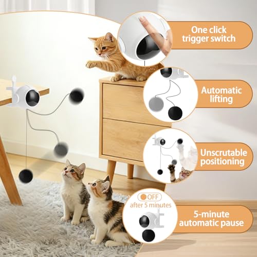 Automatic Interactive Cat Toy Electronic Self-Play Lifting Ball
