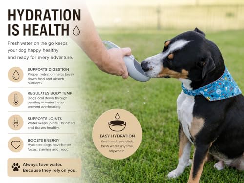 3-in-1 Dog Walking Kit - Silicone Treat Pouch, Portable Water Bottle (350ml) & Rope Tug Toy - Hands-Free Training Set