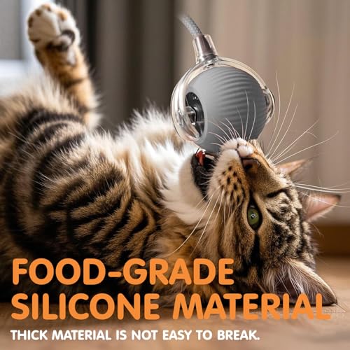 Rocfish Durable Interactive Cat Toys for Indoor Cats (Grey, 01) - color: grey01, size: 01
