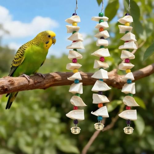 Bird Toys with Cuttlebone, Grinding Stone for Bird, 3 Pcs