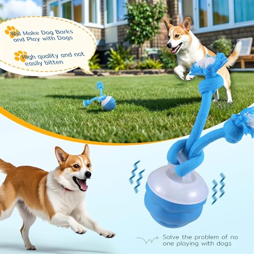 The Chase Buddy Dog Boredom Stimulating Toy 2025 Smart Pet Puppy Ball with Ropes Interactive Self Play Moving Dogs Balls Automatic Electric Active Rolling Ball Jumping Bouncing Dog Balls Gift (Blue) - color: Blue