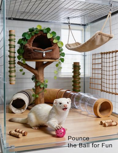 10 Pack Hollow Cutout Bell Play Balls for Ferret, Non Toxic, PP Material