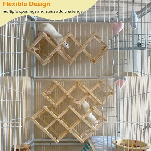 Kiln-Dried Wood Rat Climb Toy, Hanging Cage Ladder Activity (S, 2pcs) - style: S, 2pcs