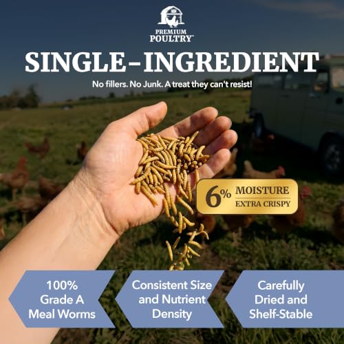 Mealworms for Chickens & Wild Birds,10 Lb - size: 10lb, style: Meal Worms
