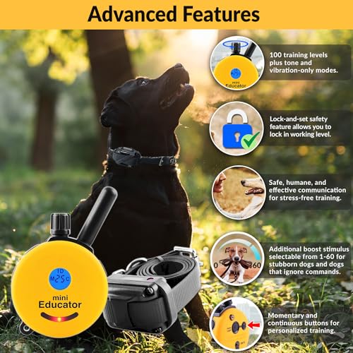 E-Collar Mini Educator ET-302 Remote Dog Training Collar, Yellow - color: Yellow, size: 2 Dog