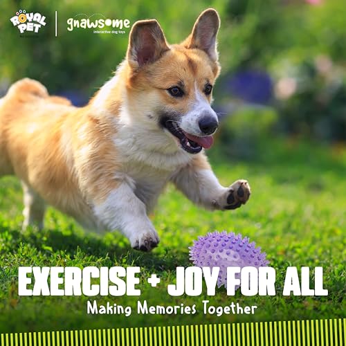 Gnawsome™ 3.5” Spiky Squeaker Football Dog Toy - Small, Cleans Teeth and Promotes Good Dental and Gum Health for Your Pet, Colors Will Vary (Pack of 2) - size: 3.5" (Pack of 2)
