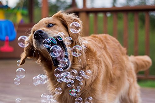 Puppy Love Bubbles, Peanut Butter Scented Bubbles 4oz. Bottle-2 Pack in Peanut Butter Flavor for Dogs - style: Peanut Butter