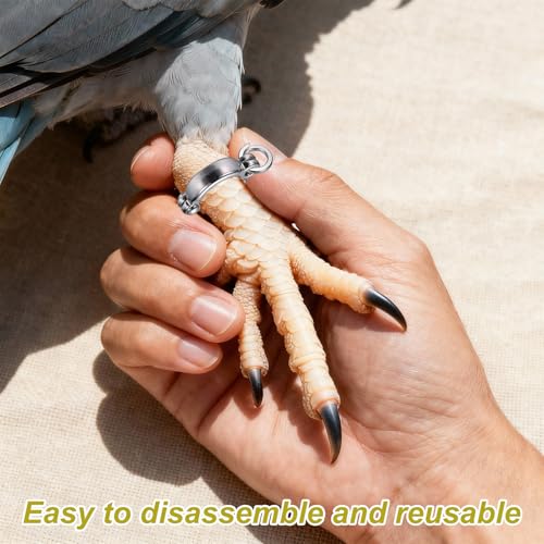 Bird Foot Rings 10Set 9.5mm/0.37" ID Metal Leg Ring Silver Tone - size: 9.5mm/0.37" ID