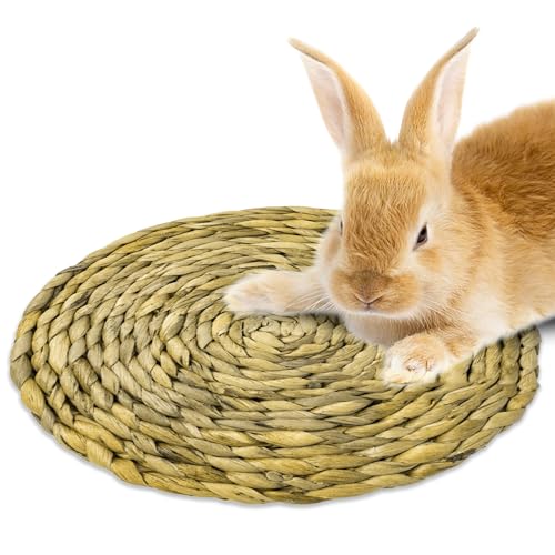 SunGrow Round Rabbit Grass Mat, Chew Toy for Guinea Pigs and Hamsters, Enclosure Bedding for Small Animals, Gnawing and Relaxation Hideout Spot, 8" x 0.7", 1 Pc