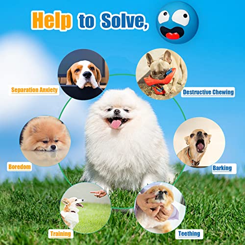 HOLYSTEED Latex Squeaky Dog Toy for Small Dogs, Mini Breeds, 2.2" Flat Ball