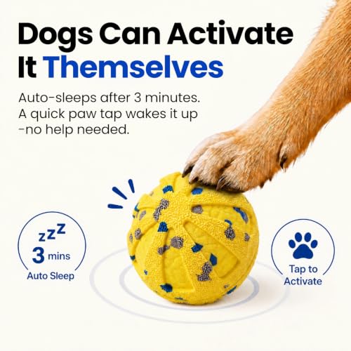 Dog Ball