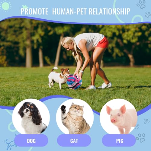 Pet Snuffle Ball, Puzzle Sniffing Interactive Dog Ball for Blind Dogs Training Stress Relief Dog Enrichment Toys Treat Machine Washable (Royal Blue, 15cm) - color: Royal blue, size: 15cm