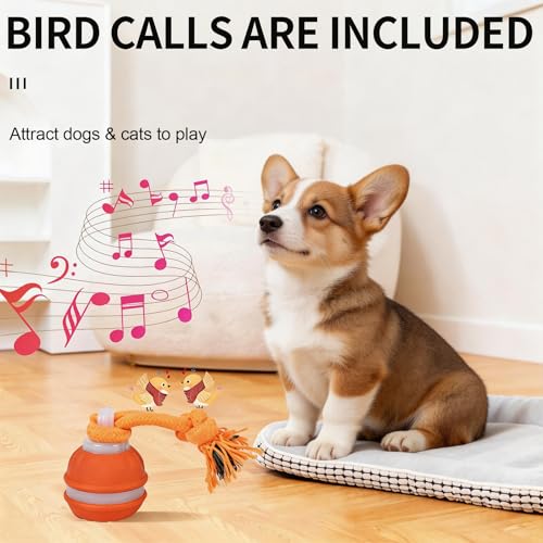 Interactive Dog Toy, Automatic Rolling Ball with Bird Sound, 3 Mode Pet Toy - color: P06-1 Orange