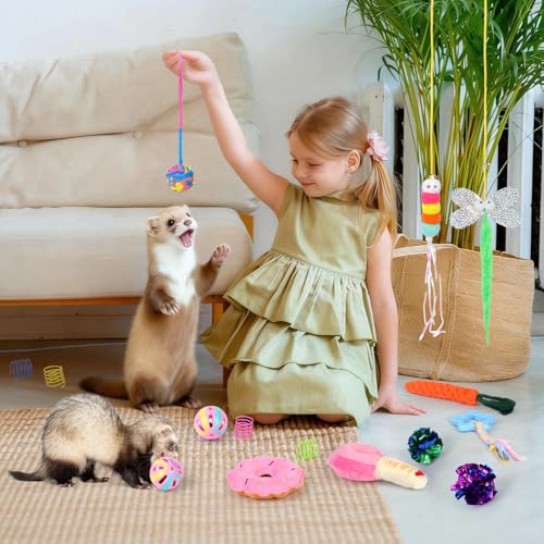 17Pcs Ferret Toys Set, Interactive Chew & Enrichment Toys for Small Pets