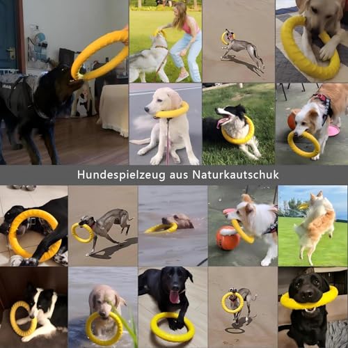 Dog Toys, Dog Chew Toys for Aggressive Chewers,Flying Discs for Medium/Large Breeds. Floating Dog Ring Toys for Throwing, Catching, Grabbing. (Large) - size: Large