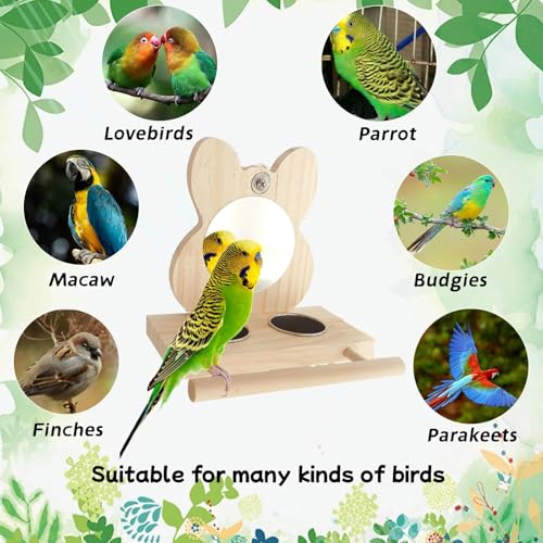 Bird Mirror Parrot Perch with Mirror and Stainless Steel Feeding Cups for Parakeets Cage Swing Wooden Mirror Fun Play Toy for Birds Lovebird Conures Cockatiels - style: Style B