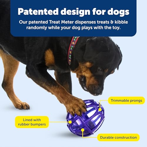 PetSafe Busy Buddy Kibble Nibble Treat Dispensing Dog Toy, Medium/Large