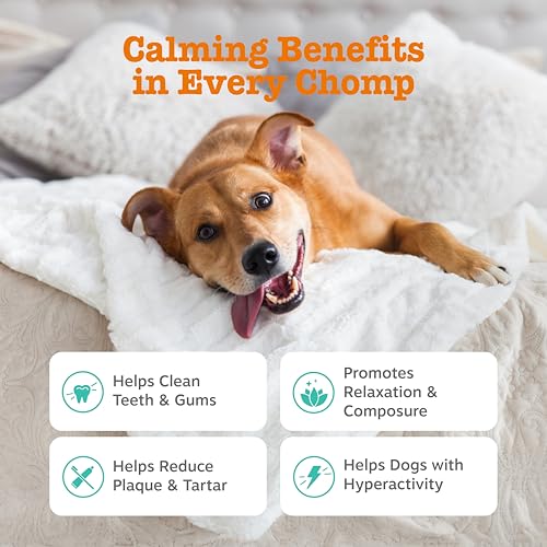 Zesty Paws OraStix for Dogs - Calming Dental Sticks for Stress with Hemp Melatonin Chamomile Dog Healthy Teeth and Gums Calm Composure for Fireworks and Thunderstorms - 12oz (Pack of 3) - size: 12 Ounce (Pack of 3)