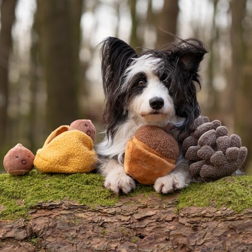 CHEWFFON Interactive Dog Toy, Enrichment Crinkle Treat Puzzle Toys - style: Acorn