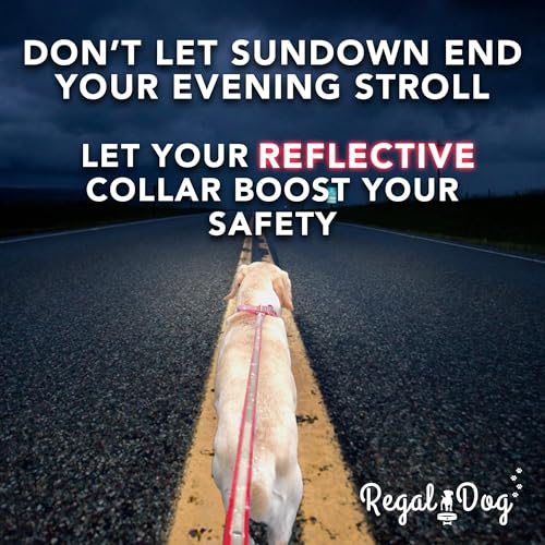 Regal Dog Products Reflective Dog Collar, Durable Metal Buckle, Small Blue - color: Blue, size: Small