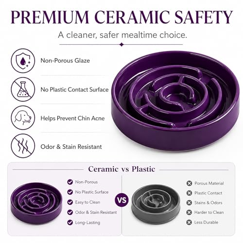 Ceramic Slow Feeder Dog Bowl,1.5 Cups Pet Slow Feeder for Small and Medium Breed,Puzzle Dog Food Dish,Anti-Gulping,Stop Bloat,Preventing Choking(Purple) - color: Purple