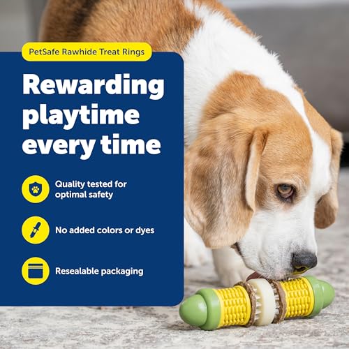 PetSafe Busy Buddy Dog Treat Rings, Small, Size A, 16 Count