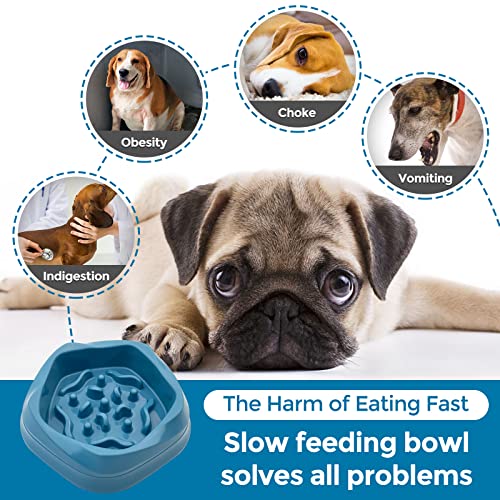 VANNON Slow Feeder Dog Bowls Non Slip Puppy Bowl Durable Dog Puzzle Feeder Bloat Stop Food Bowls for Puppy and Small Dogs, BPA Free, 2 Cups, Blue - color: D-Blue-Small-2Cups