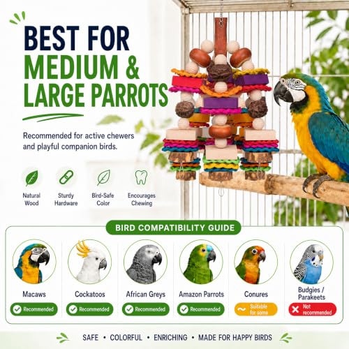 Large Parrot Toys for African Greys, Macaws, Cockatoo, Bird Chewing Toys