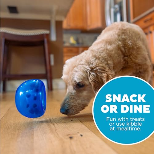 Outward Hound Lil' Snoop Interactive Treat Dispensing Dog Toy, Blue, 3.9" - color: Blue Lil Snoop
