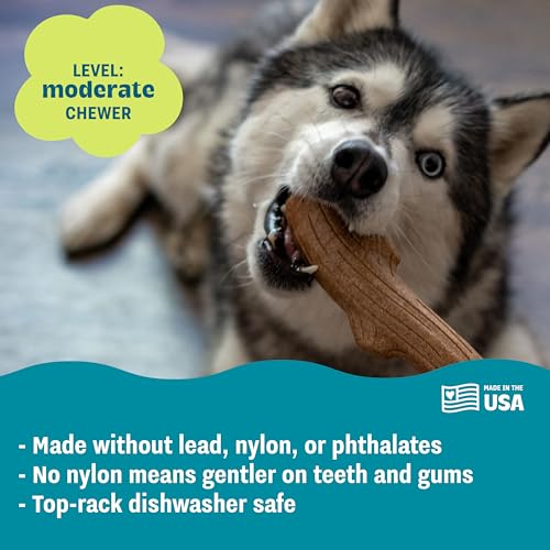 Pupstages Super Dogwood Stick Dog Chew Toy, Made in USA, Medium, 9.5" - size: Medium (Pack of 1)