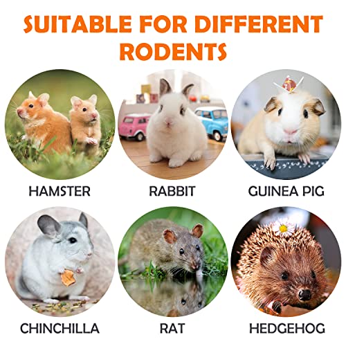 Sofier 32Pcs Timothy Hay Sticks 320g for Rabbit, Guinea Pig, Hamster - Natural Handmade Treats and Chews for Teeth - Chinchilla, Rat, Gerbil Toys