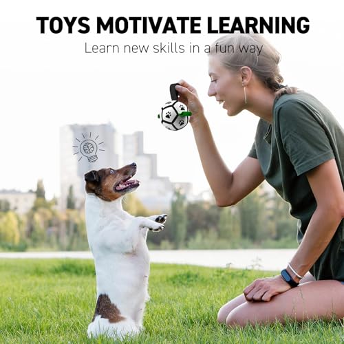 QDAN Small Dog Toys, Puppy Balls, Dog Balls with Straps for Small Breed - color: Green-Black, size: Extra Small Size 0 (3.5 Inch)