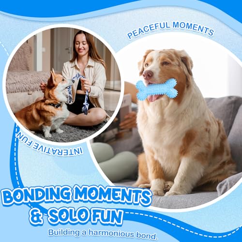 Vinsot 12 Pack Large Dog Chew Toys for Aggressive Chewers, Blue - color: Blue White