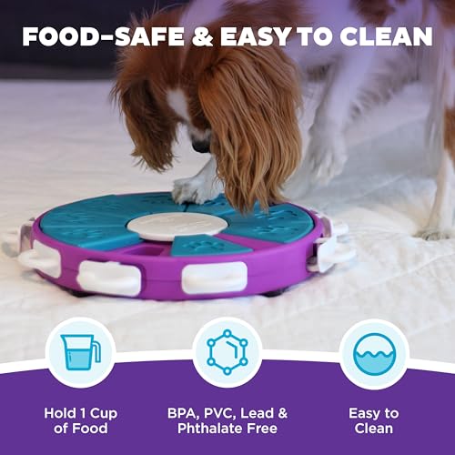 Outward Hound Nina Ottosson Dog Twister Dog Toy Treat Puzzle, 11.8"