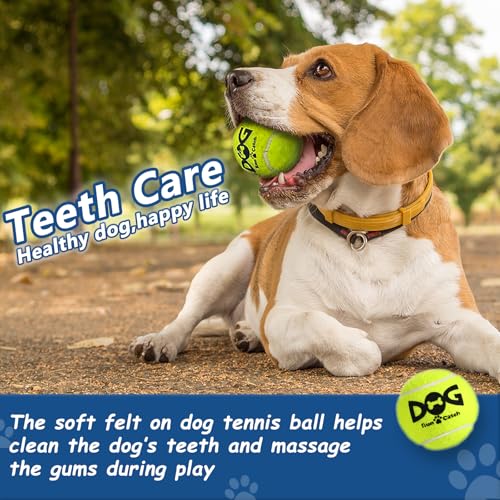 INSUM Small Tennis Balls for Dogs - 2 Inch 20 Pack Squeaky Dog Balls - color: Yellow, size: Small - 20PK
