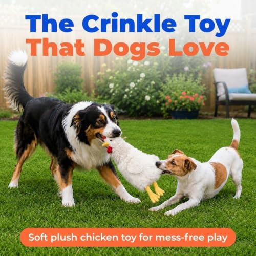 Best Pet Supplies Interactive Squeaky Dog Toy - Crinkle Chicken, Beige - color: Crinkle Chicken (Beige), size: Large