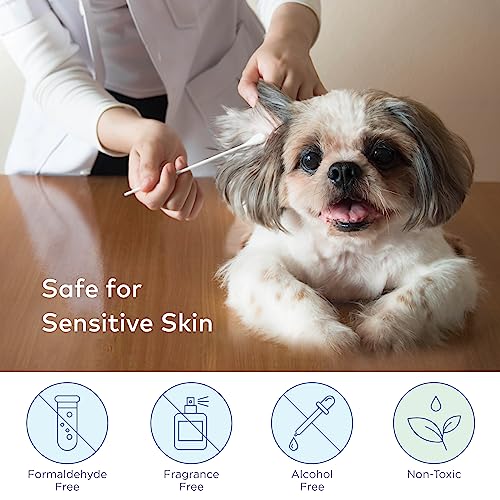 ARCA PET Cotton Swabs for Dogs and Cats - Cat & Dog Ear Cleaner Long Cotton Swab - Extra Large Cotton Head, Cat & Dog Ear Cleaning Kit for Puppies, Multipurpose Pet Cotton Swabs (Extra Large 100 Buds) - size: Extra Large 100 Buds