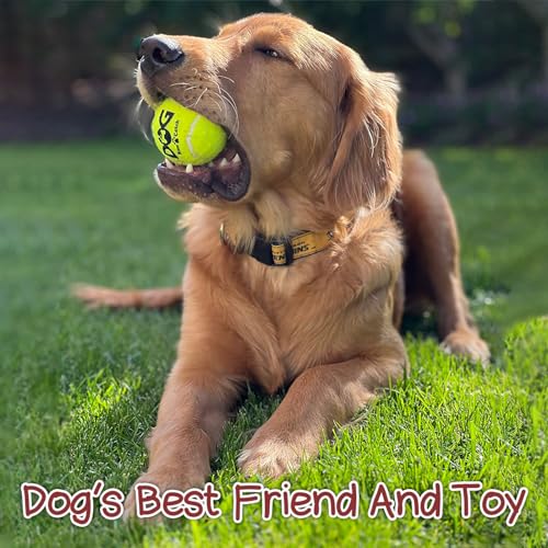 INSUM Squeaky Tennis Balls for Dogs, 2.5 Inch, 20 Pack Squeaky Dog Balls - color: Yellow, size: Medium - 20 Pack