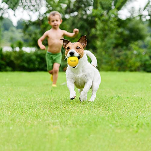 Dog Balls Indestructible,Solid Rubber Bouncy for Dogs Aggressive Chewers Large Breed,Non-Toxic&Floating&High Elasticity,Durable Fetch Ball Medium to Chew,Play and Training. (Yellow) - color: Balls Yellow, size: 2.7 In(7cm)