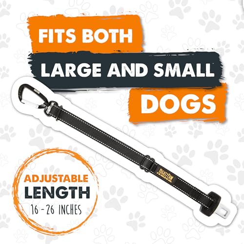 Mighty Paw Dog Seat Belt for Car, Heavy-Duty Aviation Aluminum Carabiner - style: Buckle Attachment (Most Popular)