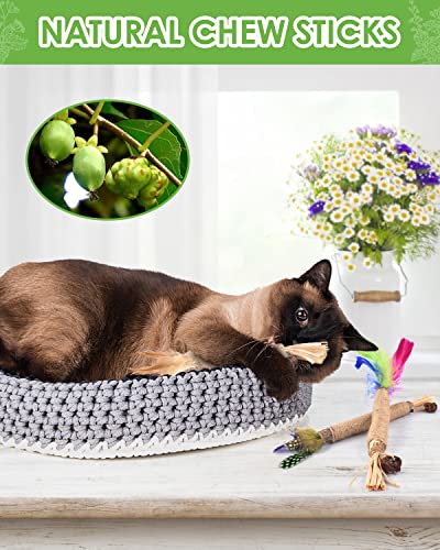 TINDTOP Silvervine Sticks for Cats with Natural Feather, Catnip Chew Toys - color: 3 Pack