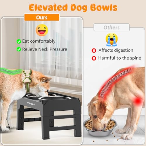 URPOWER Raised Dog Bowls 4 Height Adjustable Elevated Bowl Stand - color: Matte Black