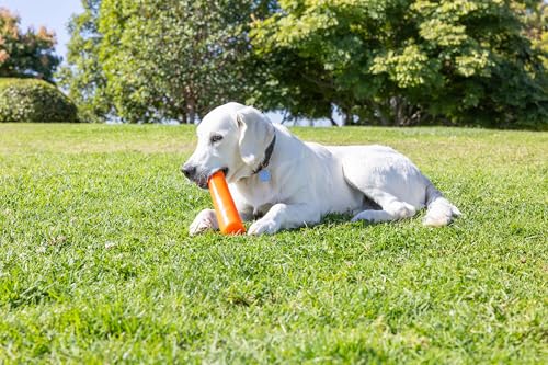 Chuckit! Super Crunch Fetch Stick Dog Toy, Durable TPR, Breeds 20-100 lbs - style: Super Crunch Stick